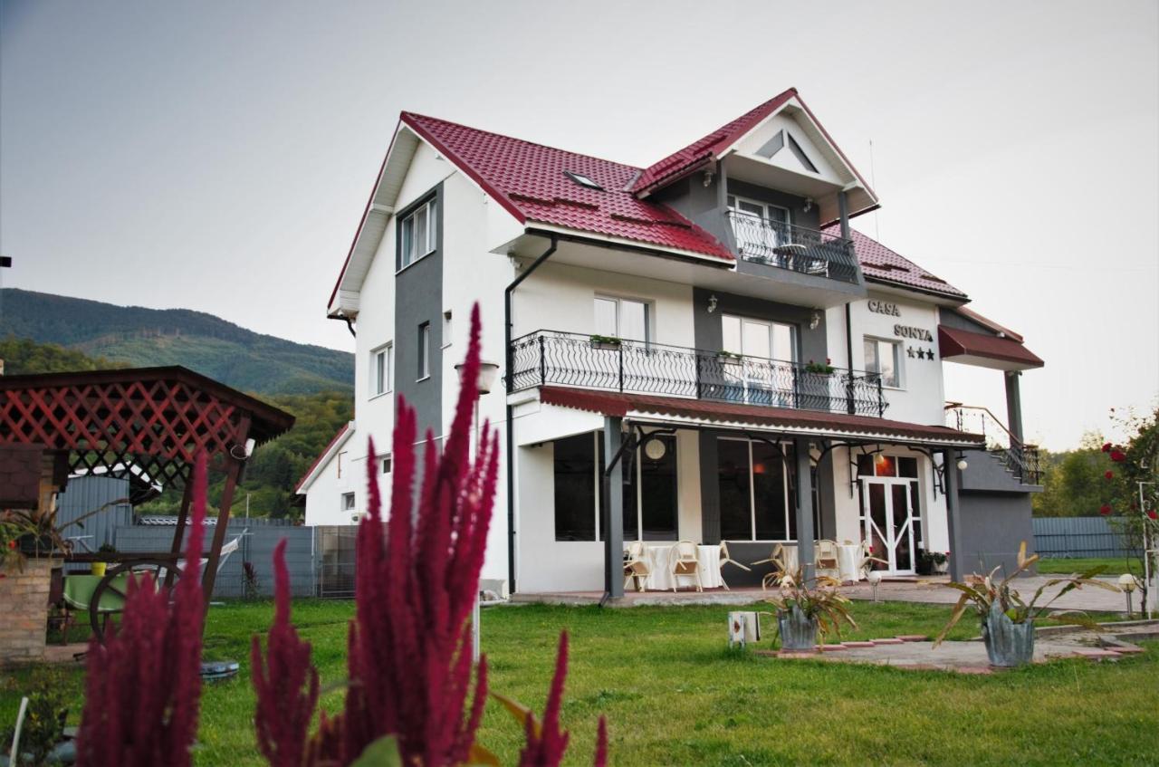 Casa Sonya Apartment Aninoasa Luaran gambar