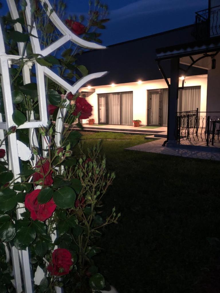 Casa Sonya Apartment Aninoasa Luaran gambar